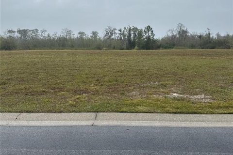 Купить земельный участок в Оберндейл, Флорида № 961054 - фото 4