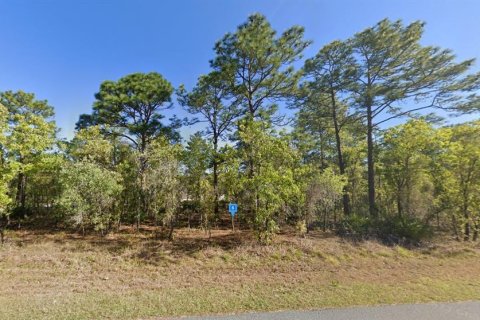 Terreno en venta en Weeki Wachee, Florida № 1337961 - foto 2