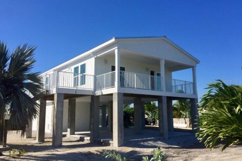 Villa ou maison à vendre à Punta Gorda, Floride: 3 chambres, 126.72 m2 № 1245429 - photo 1