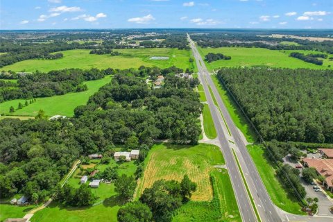 Terreno en venta en Oxford, Florida № 1355757 - foto 17