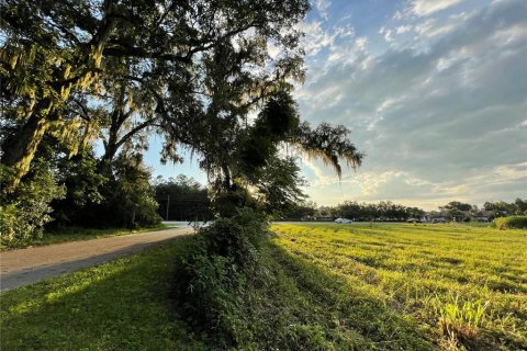 Land in Oxford, Florida № 1355757 - photo 26