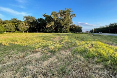 Terreno en venta en Oxford, Florida № 1355757 - foto 23