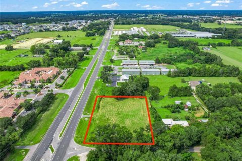 Terreno en venta en Oxford, Florida № 1355757 - foto 8