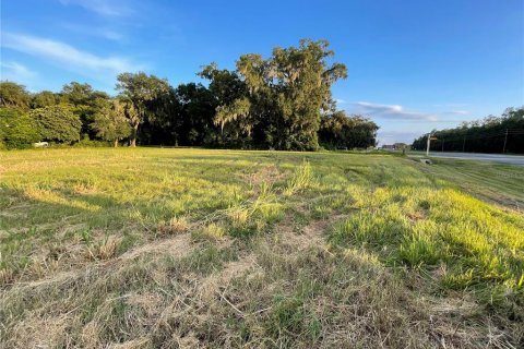 Terreno en venta en Oxford, Florida № 1355757 - foto 24