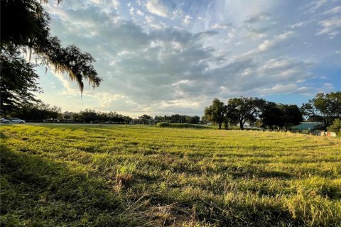 Terreno en venta en Oxford, Florida № 1355757 - foto 5