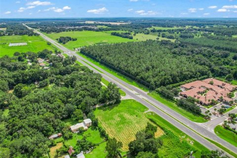 Land in Oxford, Florida № 1355757 - photo 18