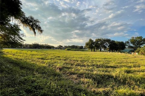 Land in Oxford, Florida № 1355757 - photo 25