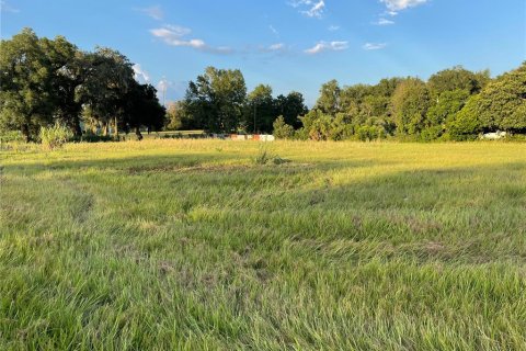 Terreno en venta en Oxford, Florida № 1355757 - foto 19