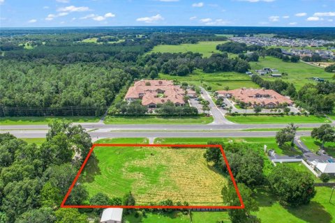 Terreno en venta en Oxford, Florida № 1355757 - foto 6