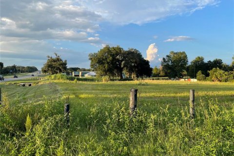 Terreno en venta en Oxford, Florida № 1355757 - foto 3