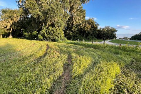 Terreno en venta en Oxford, Florida № 1355757 - foto 20