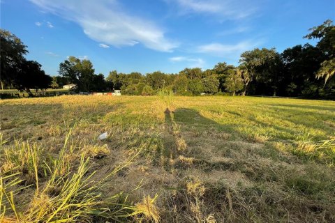 Land in Oxford, Florida № 1355757 - photo 22