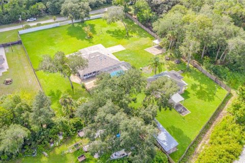 Immobilier commercial à vendre à Edgewater, Floride: 280.56 m2 № 1335304 - photo 6