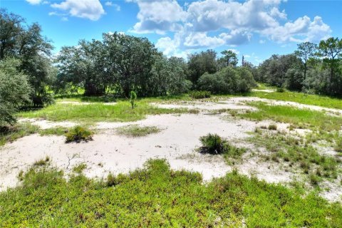 Terrain à vendre à Lake Wales, Floride № 1354846 - photo 6