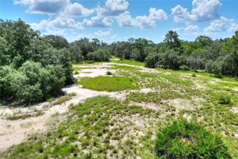 Terreno en venta en Lake Wales, Florida № 1354846 - foto 5