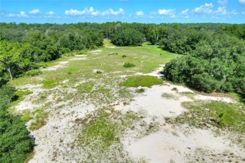 Land in Lake Wales, Florida № 1354846 - photo 4