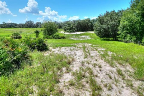 Terrain à vendre à Lake Wales, Floride № 1354845 - photo 4