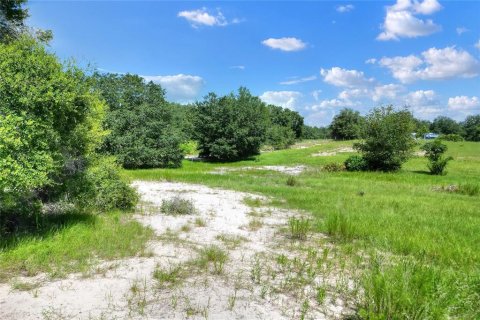 Terreno en venta en Lake Wales, Florida № 1354845 - foto 7