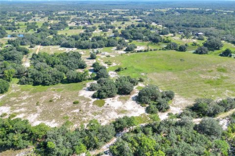 Land in Lake Wales, Florida № 1354845 - photo 3