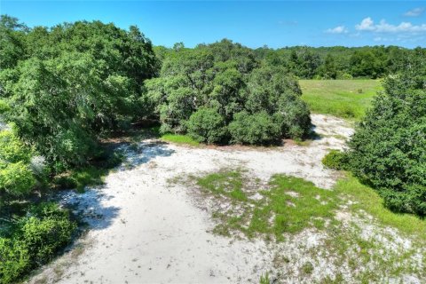 Land in Lake Wales, Florida № 1354845 - photo 6