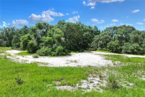 Terrain à vendre à Lake Wales, Floride № 1354845 - photo 5