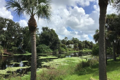 Villa ou maison à vendre à North Port, Floride: 3 chambres, 238.94 m2 № 1354814 - photo 21