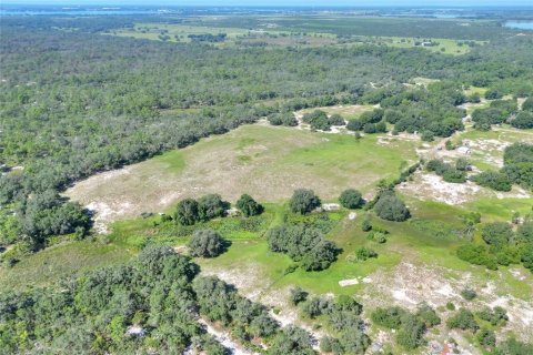 Land in Lake Wales, Florida № 1354843 - photo 3