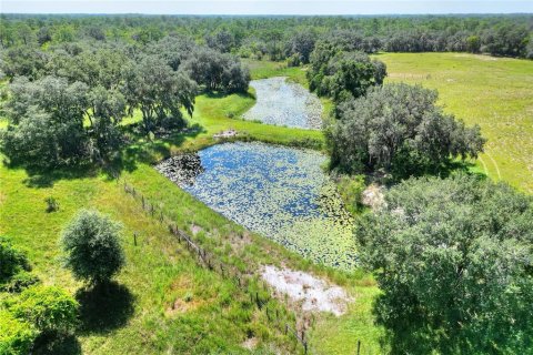 Terrain à vendre à Lake Wales, Floride № 1354843 - photo 4