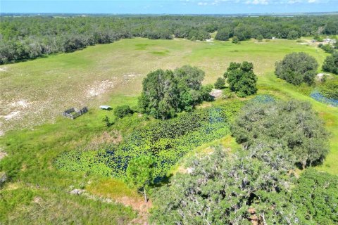 Land in Lake Wales, Florida № 1354843 - photo 5