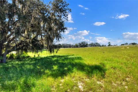 Terrain à vendre à Lake Wales, Floride № 1354843 - photo 6