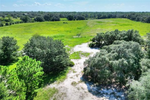 Terreno en venta en Lake Wales, Florida № 1354843 - foto 7