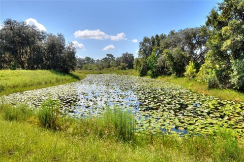 Terreno en venta en Lake Wales, Florida № 1354844 - foto 4