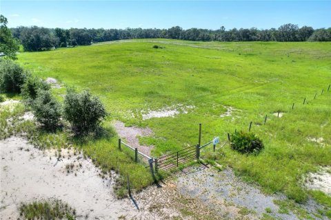 Terreno en venta en Lake Wales, Florida № 1354844 - foto 3