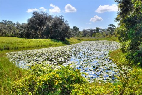 Terreno en venta en Lake Wales, Florida № 1354844 - foto 5