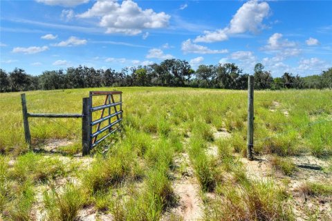 Terreno en venta en Lake Wales, Florida № 1354844 - foto 7