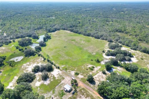 Land in Lake Wales, Florida № 1354844 - photo 10