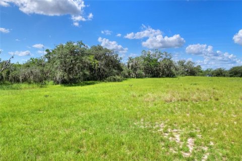 Terreno en venta en Lake Wales, Florida № 1354844 - foto 9