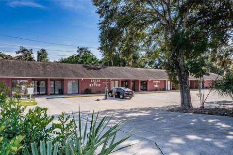 Propiedad comercial en venta en Brandon, Florida, 779.26 m2 № 739085 - foto 4