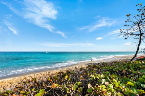 Condo in Jupiter, Florida, 2 bedrooms  № 987208 - photo 13