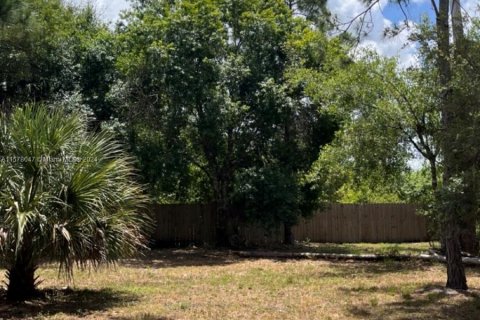 Купить земельный участок в Клуистон, Флорида № 1147619 - фото 12