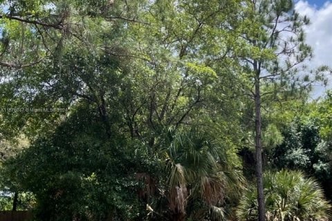 Купить земельный участок в Клуистон, Флорида № 1147619 - фото 9
