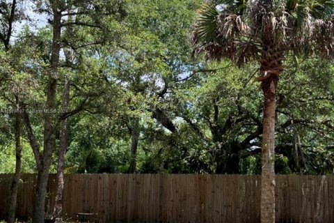 Купить земельный участок в Клуистон, Флорида № 1147619 - фото 10