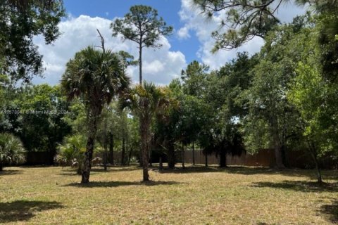 Купить земельный участок в Клуистон, Флорида № 1147619 - фото 8