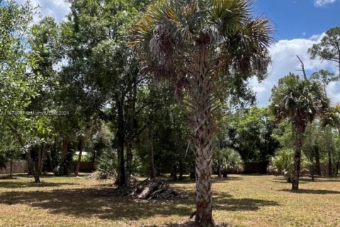 Купить земельный участок в Клуистон, Флорида № 1147619 - фото 7