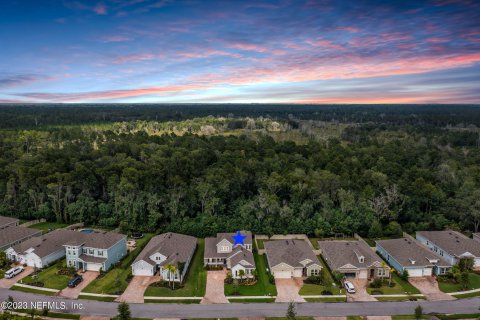 Villa ou maison à vendre à Saint Augustine, Floride: 4 chambres, 272.3 m2 № 767716 - photo 3