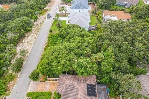 Terreno en venta en Ponce Inlet, Florida № 1317643 - foto 15