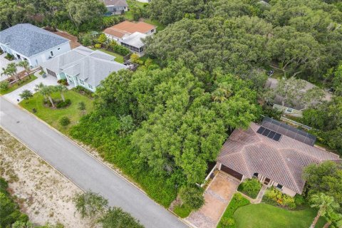 Terreno en venta en Ponce Inlet, Florida № 1317643 - foto 7