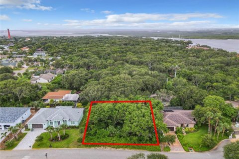 Terreno en venta en Ponce Inlet, Florida № 1317643 - foto 22