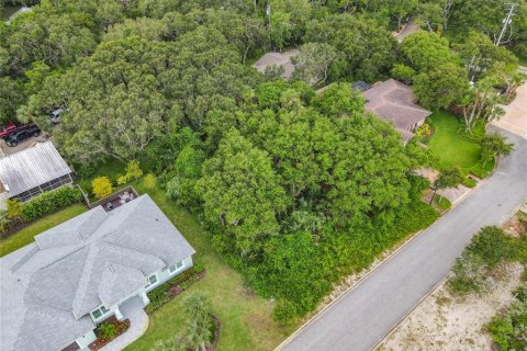 Land in Ponce Inlet, Florida № 1317643 - photo 9