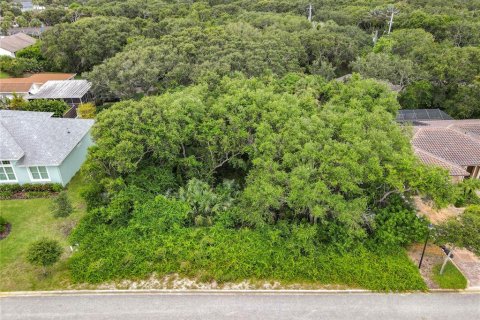 Terreno en venta en Ponce Inlet, Florida № 1317643 - foto 10